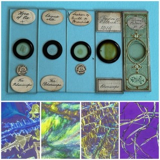Antique Group Of 5 Microscope Slides. Subjects For Polarisation. Watson Norman..