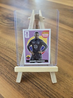 Moises Caicedo Purple Panini Extra Sticker World Cup 2026 World Cup 26 - Excellent Condition