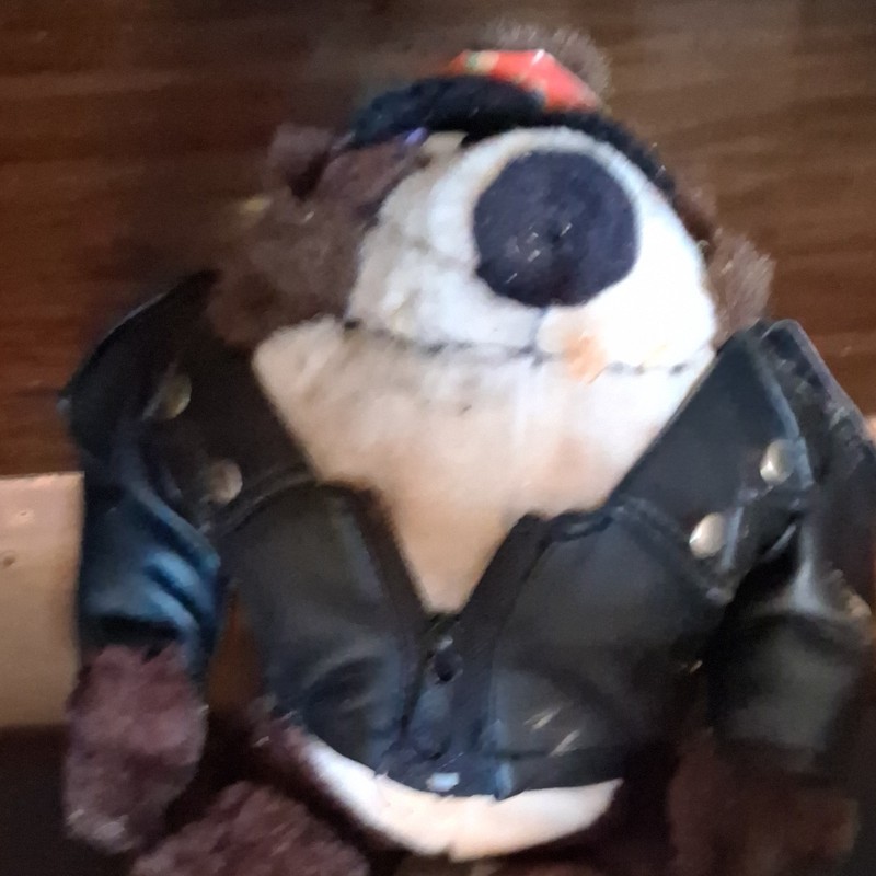 Warner Bros. Tasmanian Devil Looney Tunes Leather Jacket 1992