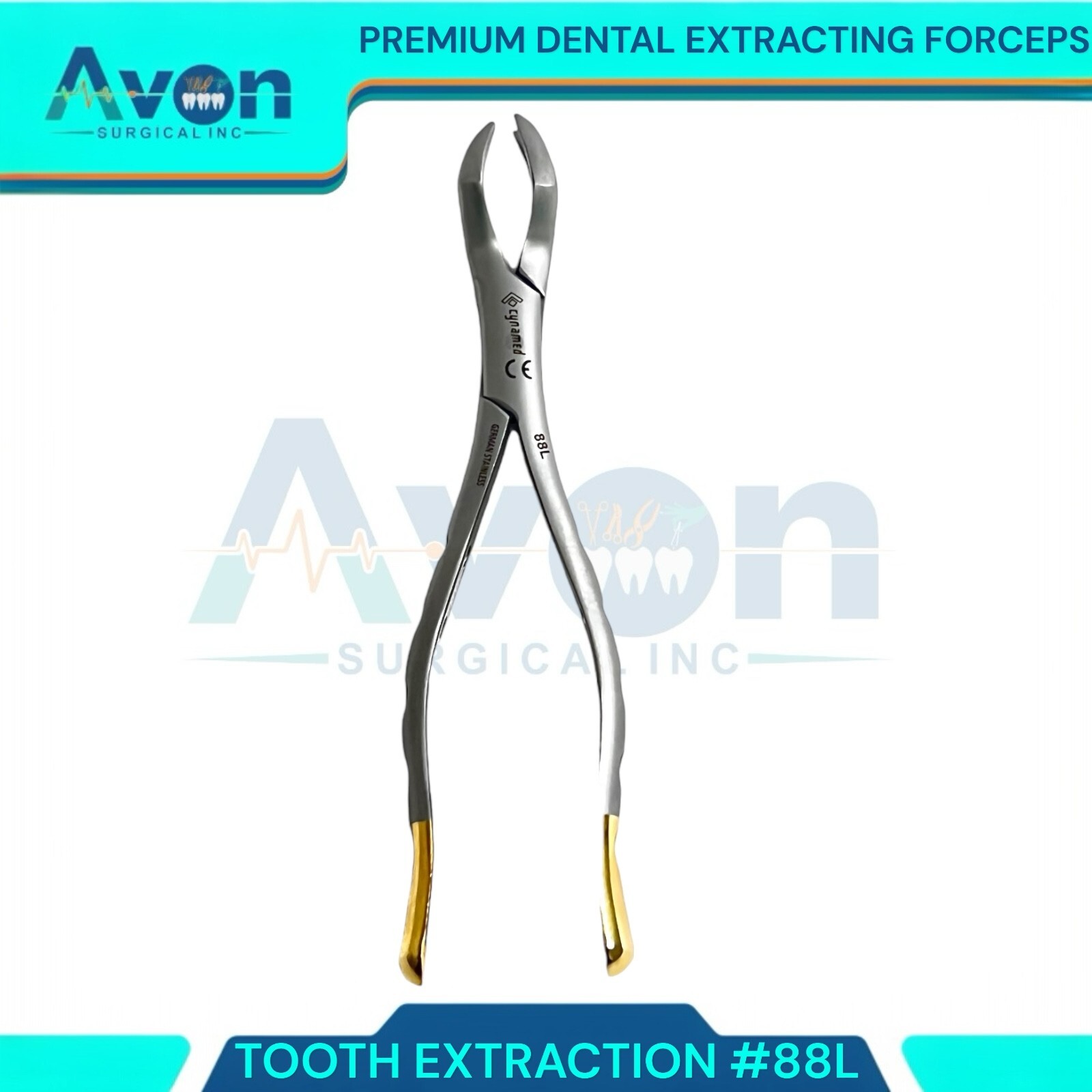 Dental Extracting Forceps 88R & 88L Molar Tooth Surgical Instruments ...