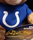 RARE HTF  NFL Indianapolis Colts Loudmouth Animatronic Bear Audio Speaker — photo 3