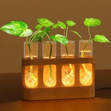 Plant Propagation Station with Wooden Stand, Gardening Gifts for Mom Women Plant