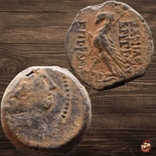 Ancient Greek coin - Seleucid Empire - Antiochos VIII (121-96 BC) eagle @a158