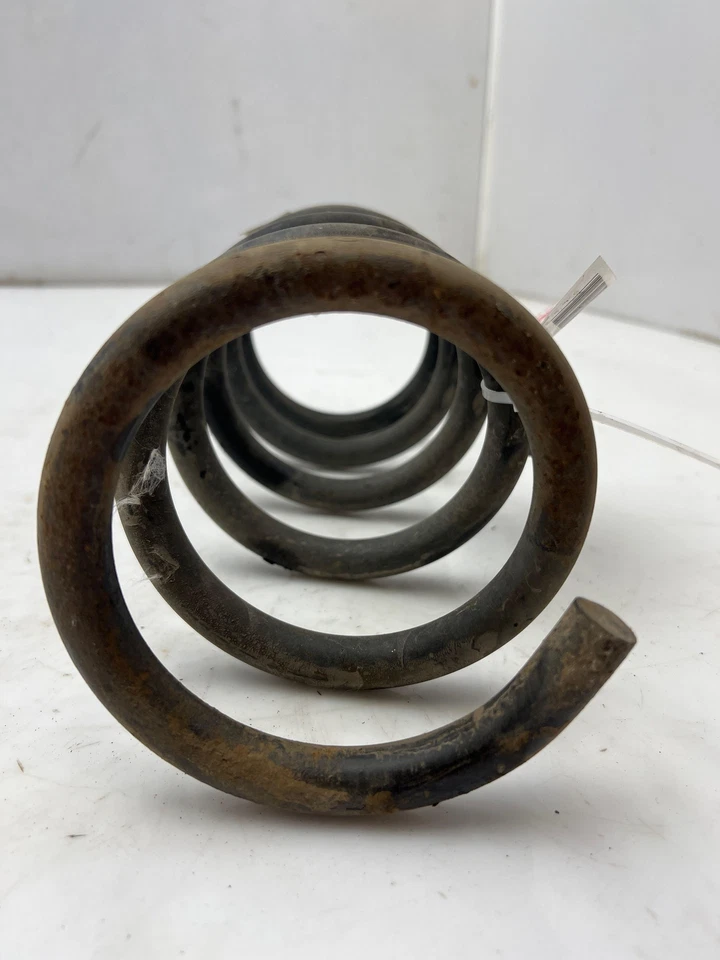 Muelle helicoidal trasero GM para Chevy Equinox GMC Terrain 2010-2017 OEM 20941297 Foto 2 de 4