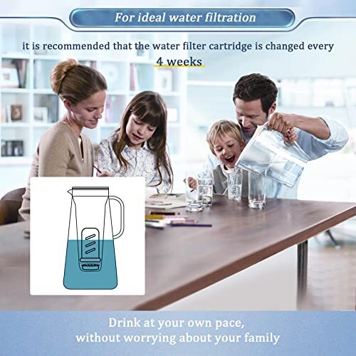 Water Pitcher Filter Replacement for LifeStraw Water Filter Pitchers and Disp... - Picture 6 of 7