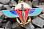 thumbnail 1  - FRENCH 2nd Marine Infantry Parachute Regiment badge