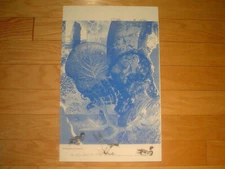 REBECCA BAIRD Original Limited Edition Lithograph "Pertaining To The Earth #5"