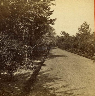 vintage photo Hoey's Park LONG BRANCH NJ stereoview G W PACH NY 96 