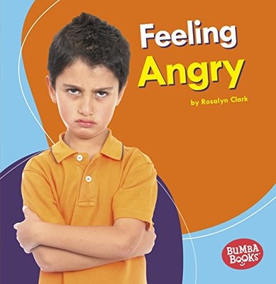 FEELING ANGRY (BUMBA BOOKS FEELINGS MATTER) By Rosalyn Clark **BRAND NEW**