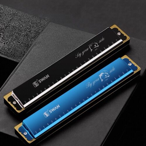 Custom Name Harmonica 24 Holes Tremolo Harmonica Key of C for Musicians Blue - Picture 3 of 12