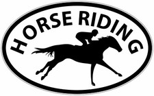 Horse Riding Sport Oval Car Bumper Window Sticker Decal 6"X4"