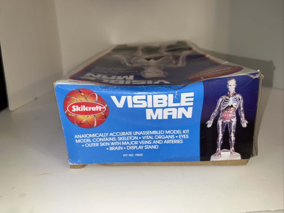 Vintage SKILCRAFT Visible Man Anatomy Kit No 74622 1994 NEW | eBay
