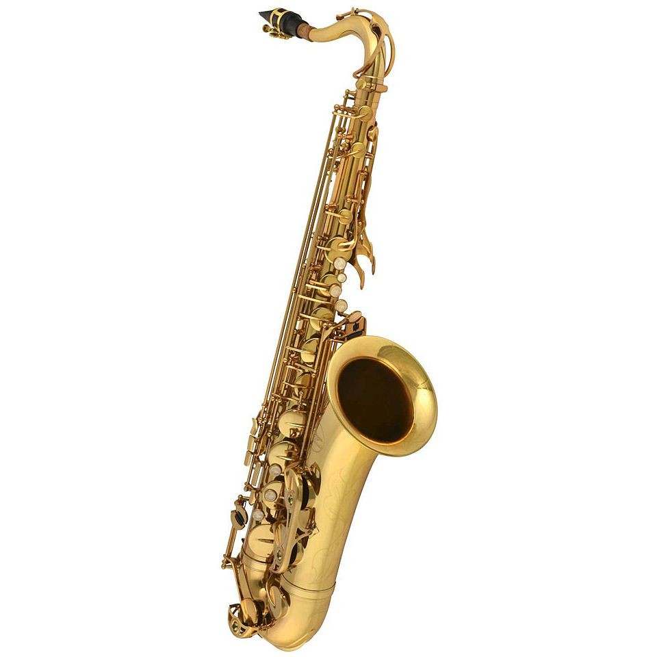 - Chicago Winds CC-TS4100L - NEU 83190₽