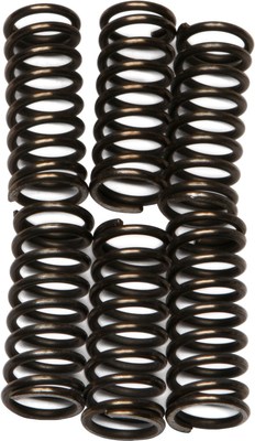 Toggle Spring Csk EBC - CSK96 - CSK Clutch Spring Kit 10% Stiffer Than Stock Springs | eBay