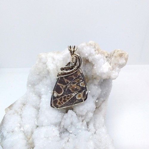 Turritella, fósil, envuelto en alambre, collar, plata de ley, bronce, #2031 - Imagen 3 de 6