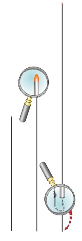 Foto 1 di 1