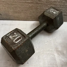 20 lb Cap Barbell Solid Hex Dumbbell Cast Iron Silver Workout Supply Gym EUC