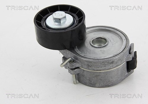 Triscan Spannrolle, Keilrippenriemen U.A. FüR CitroËN, Peugeot-image