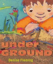 underGROUND - Hardcover, by Fleming Denise - Good