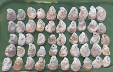 125 Cleaned And Drilled Oyster Shells
