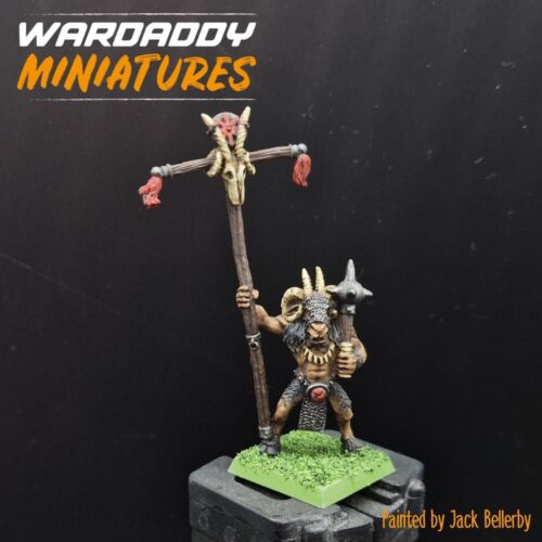 Pro painted Warhammer fantasy Chaos beastman banner barer OOP RARE oldhammer - Afbeelding 1 van 2