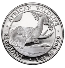 2023 Somalia  100 Shillings 1oz Silver Elephant Brilliant Uncirculated