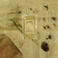 Sangketan Foglia in Polvere Heliotropium Indicum Premium Pura Fresca Biologica Erba Spezia