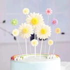 Foto 6 di 7