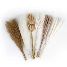 Dried Flower Bundle, 6-Pack Includes 2 Pampas Grass, 2 Bunny Tails, and 2 Whi...