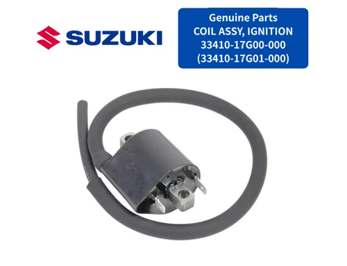 COIL ASSY, IGNITION