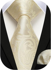 Paisley Ties for Men Solid Tie Handkerchief Floral Men's Necktie  Pocket Square