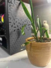 Budget Gaming PC 14 core - RX 580 1080P