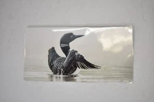 Birds Metal Decoration Plate 10" x 5-1/2" Home Decor Black/White Bird In Water