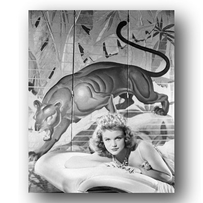 Simone Simon Photo 8x10 1940s Cat People French Actress Portrait Leopard Studio