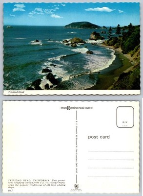 Trinidad Head California Coastal View Chrome Postcard Mike Roberts Whaling Ships