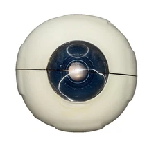 Vintage 1963 Merck Co. Pharmaceutical Anatomical Human Eye 3D Model Eyeball