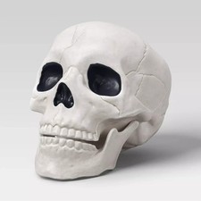 Hyde EEK 6" Skull Halloween Decoration Realistic Spooky Prop for In/outdoor