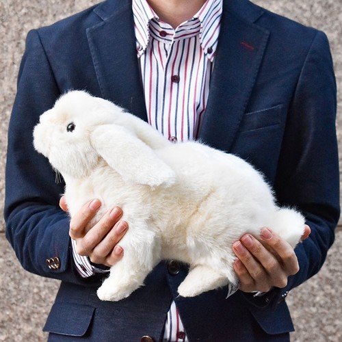 Hansa Lop Ear Bunny Realistic Big Plush Doll BH7024 White Rabbit 13.7in Gift - Bild 1 von 8