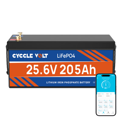 24V 200Ah LiFePO4 Battery 200A BMS 5120Wh Deep Cycle for Rvs Solar Backup Power