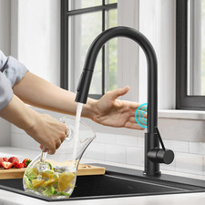 Oletto Matte Black Single-Handle Kitchen Faucet with Pull Down Sprayer