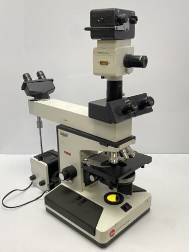 LEITZ WETZLAR MICROSCOPE HEAD VINTAGE#2 | eBay