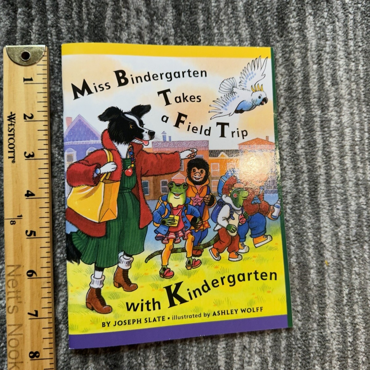 洋書 Kindergartens: Educational Spaces/Michel 洋書 Kindergartens: Educational Spaces/Michel Kindergartens