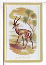 Single Vintage ID Named Animals, "Grand Gazelle" Playing Card AN 5-3 A