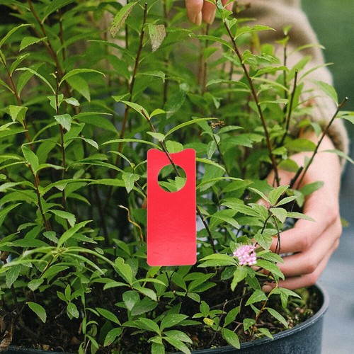 Colorful Hanging Plant Tags for Efficient Garden Plant Identification (500pcs) - Afbeelding 3 van 22