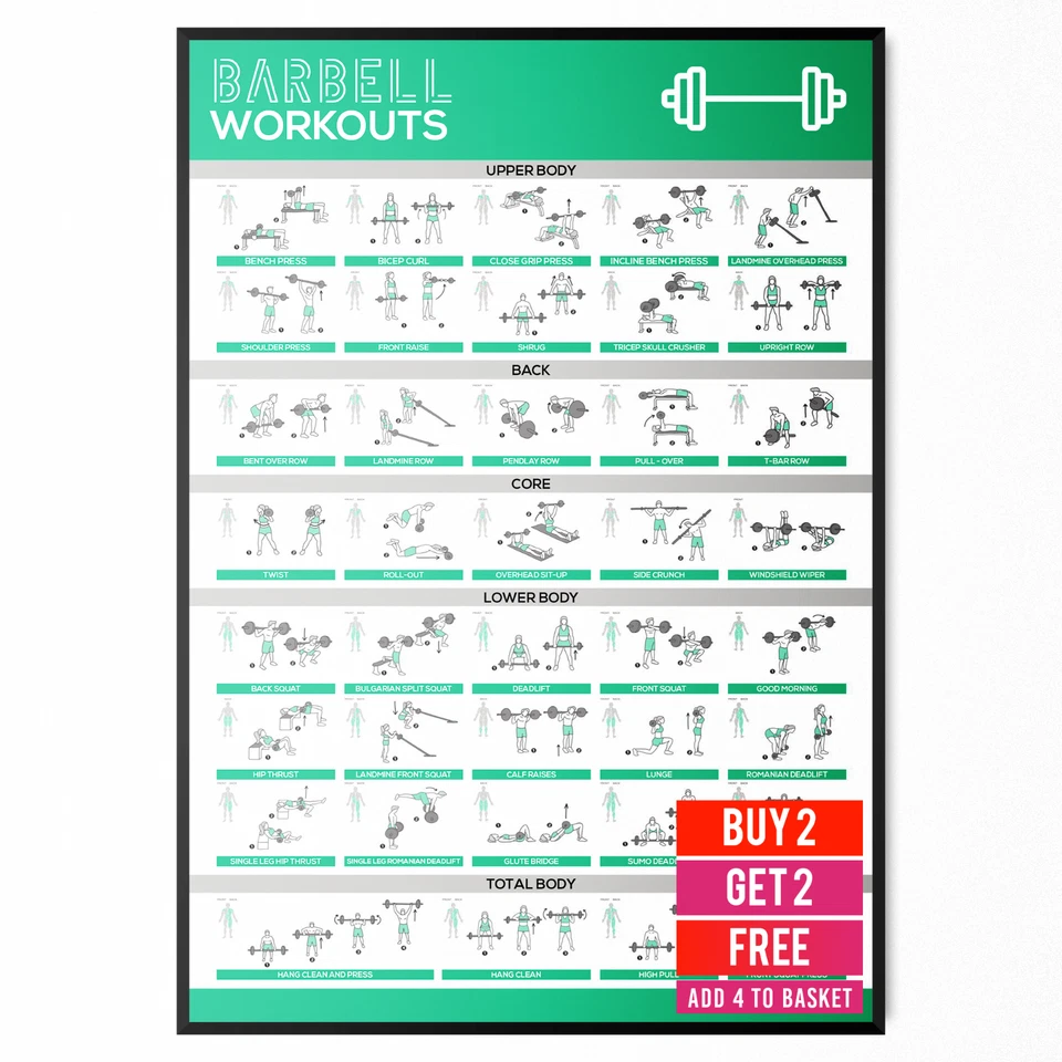GYM WORKOUT POSTERS Exercises Dumbbell Barbell Kettlebell Cable Machine A5-A3
