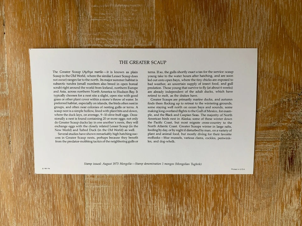 MONGOLIA 1973 CARD MNH WORLD BIRDS GREATER SCAUP DUCKS - Image 2 of 2