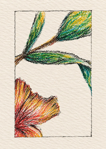Original ACEO Art 2.5x3.5 Signed #9 Floral Drawing Colored Pencil Ink K.Brenét