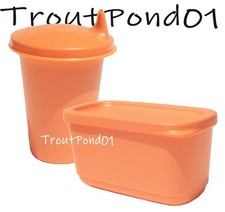 Tupperware Bell Tumbler Sippy Cup Sipper Seal Basic Bright Snack Set Cosy Rosy