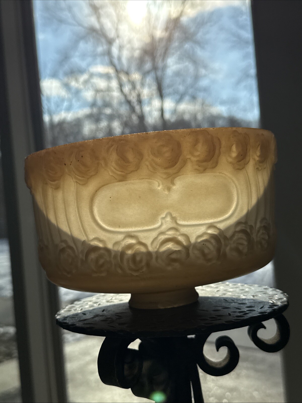 Picture 6 of 20