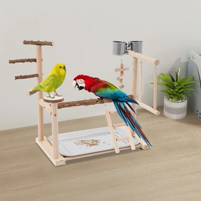 Papagei-Vogel-Spiel-St?nder aus Holz Vogel-Spielplatz mit Leiter & Schaukel NEU - Bild 1 von 4